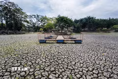 Hiện tượng El Nino gây hạn hán nghiêm trọng tại Costa Rica. (Ảnh minh họa: AFP/TTXVN)