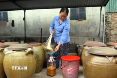 Đặc sản tương nếp Úc Kỳ đã được xuất bán đi nhiều tỉnh, thành trên cả nước. (Ảnh: Quân Trang/TTXVN)