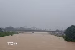 Mưa lớn khiến mực nước trên sông Thương tăng cao. (Ảnh: Thanh Thương/TTXVN)