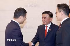 Thường trực Ban Bí thư Trần Cẩm Tú hội kiến Chủ tịch Đảng Hành động Nhân dân Singapore, Bộ trưởng Bộ Giáo dục Desmond Lee. (Ảnh: Phương Hoa/TTXVN)