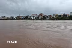 (Ảnh minh họa. Quang Duy/TTXVN)
