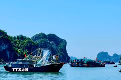 Quảng Ninh kêu gọi tàu thuyền về nơi tránh trú bão số 9 an toàn