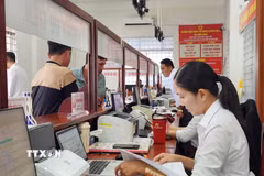 Người dân các địa phương ở An Giang đến trung tâm hành chính công làm thủ tục làm sạch dữ liệu đất đai. (Ảnh: Văn Sĩ/TTXVN)