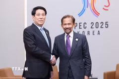 Chủ tịch nước Lương Cường và Quốc vương Brunei Hassanal Bolkiah tại APEC 2025 ở Hàn Quốc. (Ảnh: Lâm Khánh/TTXVN)