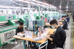 Công nhân thực hiện các công đoạn sản xuất trong dây chuyền công nghiệp, thể hiện năng lực sản xuất ngày càng được nâng cao của doanh nghiệp Tây Ninh. (Ảnh: Bùi Giang/TTXVN)