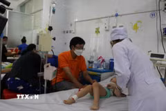 Ảnh minh họa. (Nguồn: TTXVN phát)