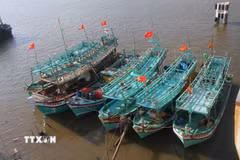 Tỉnh Cà Mau xác định việc tháo gỡ “thẻ vàng” IUU là nhiệm vụ chính trị hàng đầu. (Ảnh: Chanh Đa/TTXVN)