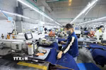 Ảnh minh họa. (Ảnh: Tuấn Anh/TTXVN)