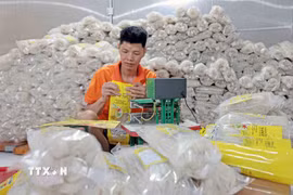 Sản phẩm mỳ gạo của Hợp tác xã Tiến Diện đạt OCOP 3 sao đến từ Thái Nguyên đã được tiêu thụ tại thị trường Đức. (Ảnh: Trần Việt/TTXVN)
