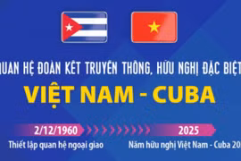 Quan hệ đoàn kết truyền thống, hữu nghị đặc biệt Việt Nam-Cuba