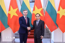 Bộ trưởng Ngoại giao Lê Hoài Trung hội đàm với Bộ trưởng Ngoại giao Litva Kestutis Budrys. (Ảnh: Minh Đức/TTXVN)