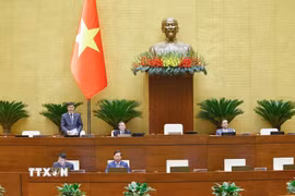 Phó Chủ tịch Quốc hội Vũ Hồng Thanh phát biểu. (Ảnh: Doãn Tấn/TTXVN)