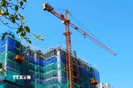 (Ảnh minh họa: Nguyên Lý/TTXVN)