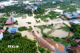 Nước lũ dâng cao, bao phủ nhiều diện tích cây trồng tại Bắc Ninh. (Ảnh: TTXVN phát)