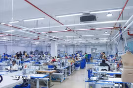 Ảnh minh họa. (Nguồn: TTXVN phát)