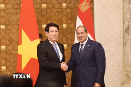 Chủ tịch nước Lương Cường và Tổng thống Ai Cập Abdel Fattah El-Sisi tại cuộc gặp gỡ báo chí, thông tin về kết quả hội đàm. (Ảnh: Lâm Khánh/TTXVN)