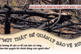 Gỡ “nút thắt” để quản lý, bảo vệ rừng 