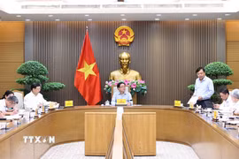 Gỡ vướng mắc về mã số vùng trồng trước vụ sầu riêng