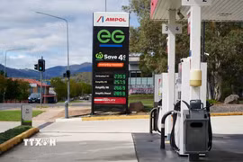 Giá xăng dầu được niêm yết tại một trạm xăng ở Canberra, Australia, ngày 20/3/2026. (Ảnh: THX/TTXVN)