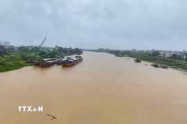 Mưa lớn khiến mực nước trên sông Thương, Bắc Ninh tăng cao. (Ảnh: Thanh Thương/TTXVN)