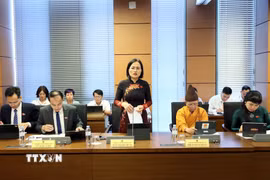 Đại biểu Quốc hội thành phố Quảng Ninh Trần Thị Kim Nhung phát biểu thảo luận ở tổ về dự án Luật Bưu chính (sửa đổi). (Ảnh: An Đăng/TTXVN)
