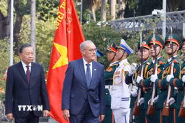 Tổng Bí thư, Chủ tịch nước Tô Lâm và Tổng thống Thụy Sĩ Guy Parmelin duyệt Đội danh dự Quân đội nhân dân Việt Nam. (Ảnh: Thống Nhất/TTXVN)