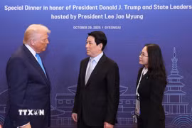 Chủ tịch nước Lương Cường với Tổng thống Hoa Kỳ Donald Trump. (Ảnh: Lâm Khánh/TTXVN)