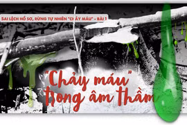 Rừng tự nhiên “chảy máu” trong âm thầm