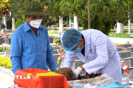Tổ công tác khai quật, lấy mẫu hài cốt liệt sĩ tại Nghĩa trang Liệt sỹ Đức Cơ (xã Đức Cơ, tỉnh Gia Lai). (Ảnh: Hoài Nam/TTXVN)
