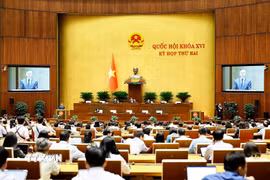 Quang cảnh phiên họp sáng 23/10. (Ảnh: Doãn Tấn/TTXVN)