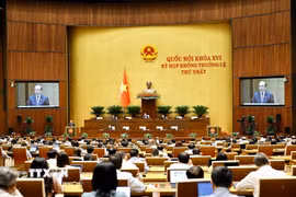 Quang cảnh phiên họp. (Ảnh: Doãn Tấn/TTXVN)