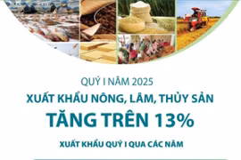 Quý 1 năm 2025: Xuất khẩu nông, lâm, thủy sản tăng trên 13%