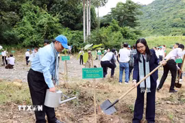 Lãnh đạo HUFO trồng cây tại "Vườn cây hữu nghị" của Đặc khu Côn Đảo. (Ảnh: Xuân Khu/TTXVN)