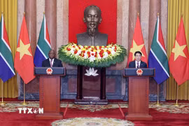 Chủ tịch nước Lương Cường và Tổng thống Nam Phi Matamela Cyril Ramaphosa gặp gỡ báo chí, thông báo về kết quả hội đàm giữa hai bên. (Ảnh: Lâm Khánh/TTXVN)