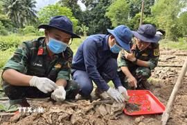 Đội K92, Bộ Chỉ huy quân sự tỉnh An Giang tìm kiếm, cất bốc hài cốt liệt sỹ tại xã Kiên Lương. (Ảnh: TTXVN phát)