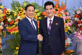 Ủy viên Trung ương Đảng, Phó Thủ tướng Chính phủ, Bộ trưởng Bộ Ngoại giao Bùi Thanh Sơn và Đại sứ Đặc mệnh toàn quyền nước Cộng hòa Dân chủ Nhân dân Triều Tiên Ri Sung Guk. (Ảnh: TTXVN phát)