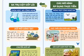 Nghị quyết 57-NQ/TW đột phá chuyển đổi: Công nghệ tái cấu trúc nông nghiệp