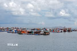 Ảnh minh họa. (Nguồn: Huỳnh Anh/TTXVN)