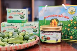 Ảnh minh họa. (Ảnh: Lê Đông/TTXVN)