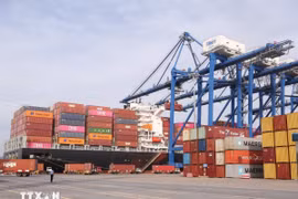 Cảng Container Quốc tế Tân Cảng Hải Phòng. (Ảnh: Minh Thu/TTXVN)