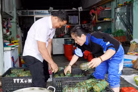 Nhóm thiện nguyện xếp bánh tét vào khay chứa để chuyển đến người dân vùng lũ Gia Lai. (Ảnh: Lê Phước Ngọc/TTXVN)