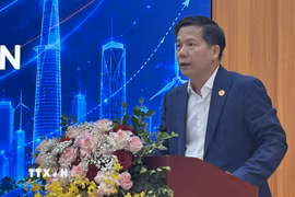 Tiến sỹ Nguyễn Đình Chúc, Viện trưởng Viện Kinh tế Việt Nam và Thế giới, báo cáo đề dẫn hội thảo. (Ảnh: Thanh Hương/TTXVN)