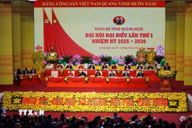 Quang cảnh Đại hội. (Ảnh: Lê Phước Ngọc/TTXVN)
