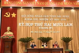 Chủ tọa kỳ họp. (Ảnh: TTXVN phát)