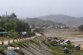 xã Măng Bút, huyện Kon Plông, tỉnh Kon Tum chính thức được đóng điện, hòa điện lưới Quốc gia. Ảnh: Dư Toán – TTXVN.