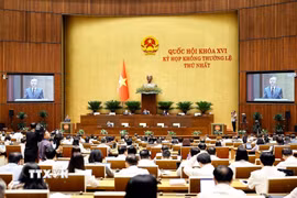 Quang cảnh phiên họp. (Ảnh: Doãn Tấn/TTXVN)