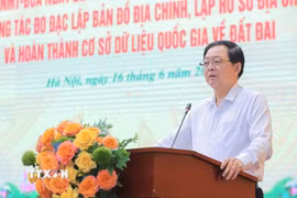 Phó Thủ tướng Chính phủ Hồ Quốc Dũng phát biểu chỉ đạo tại Hội nghị. (Ảnh: Lê Đông/TTXVN)