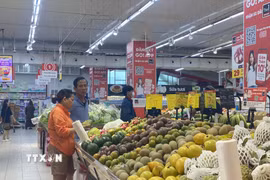 (Ảnh minh họa. Khoa Chương/TTXVN)