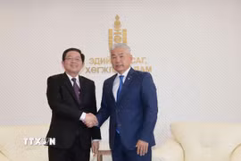 Phó Thủ tướng Hồ Quốc Dũng hội kiến Phó Thủ tướng Thường trực, Bộ trưởng Kinh tế và Phát triển Mông Cổ Enkhbayar. (Ảnh: TTXVN phát)