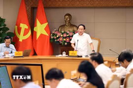 Phó Thủ tướng Lê Tiến Châu phát biểu tại cuộc họp. (Ảnh: An Đăng/TTXVN)